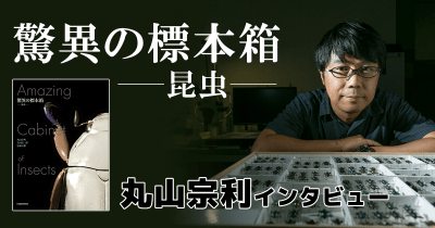 絶賛予約受付中!!『驚異の標本箱―昆虫―』 丸山宗利インタビュー