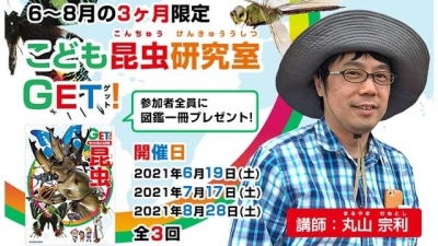 図鑑1冊もれなくプレゼント！昆虫博士・丸山宗利先生が特別オンラインゼミ！ 「こども昆虫研究室ＧＥＴ！」がスタート！