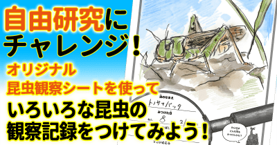 【昆虫観察日記をつけよう！】夏休みの自由研究にチャレンジ！
