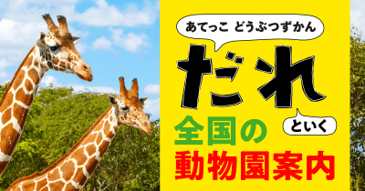 レッサーパンダ好き必見の施設！　まるでサバンナ「ライオンの丘」も【長野県・長野市茶臼山動物園】『あてっこ どうぶつずかん　だれ』といく　全国の動物園案内 No.16