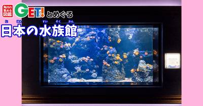 絵画のように美しい水族館 四国水族館【香川県】　「角川の集める図鑑GET！とめぐる日本の水族館」第16回