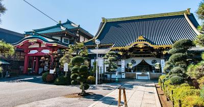もともとは節目の年のお祝いだった!?　厄年の過ごし方【詩人白井明大　子どもに教えたい！日本の風習】　